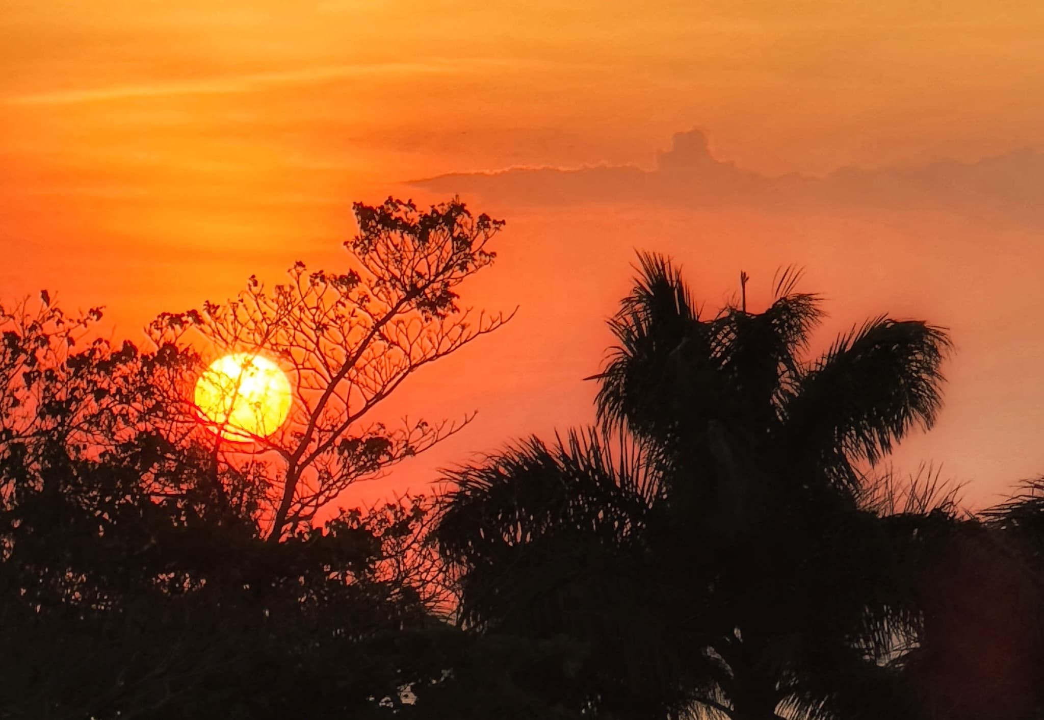 Stunning sunset views from Crazy Monkey Tamarindo terrace and pool deck