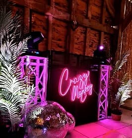 Crazy Monkey neon sign